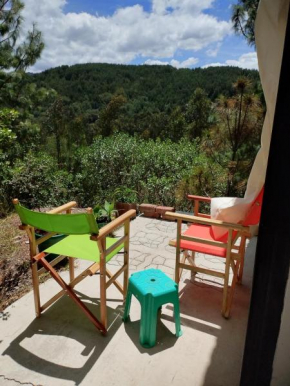 Casa Entre Pinos susa